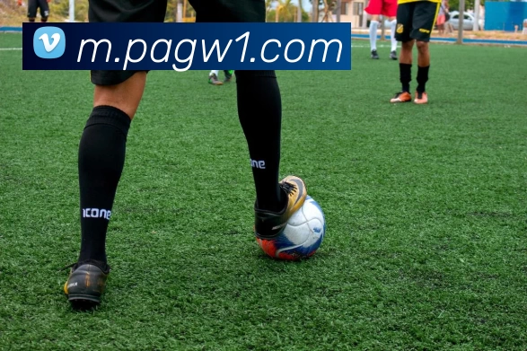 PA电竞官网APP 高清赛事图